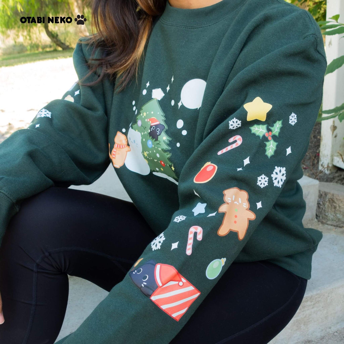 Kitty’s First Christmas Sweater