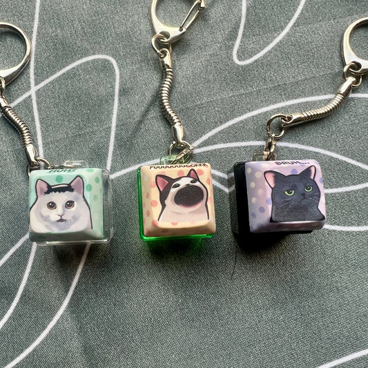 Meme Cats Keycap Keychain